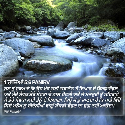 1 ਰਾਜਿਆਂ 5:6 PANIRV Bible Verse Image