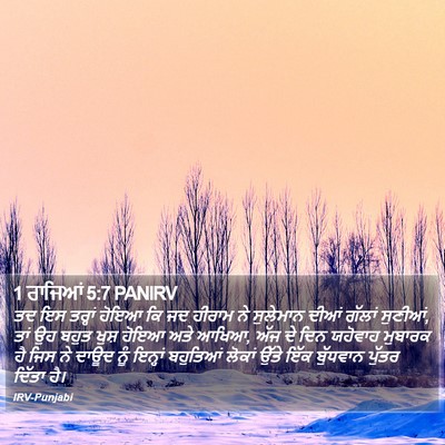 1 ਰਾਜਿਆਂ 5:7 PANIRV Bible Verse Image