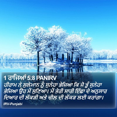 1 ਰਾਜਿਆਂ 5:8 PANIRV Bible Verse Image