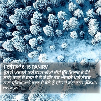 1 ਰਾਜਿਆਂ 6:15 PANIRV Bible Verse Image