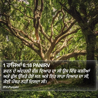 1 ਰਾਜਿਆਂ 6:18 PANIRV Bible Verse Image