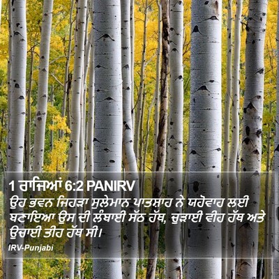 1 ਰਾਜਿਆਂ 6:2 PANIRV Bible Verse Image