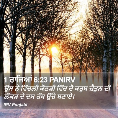 1 ਰਾਜਿਆਂ 6:23 PANIRV Bible Verse Image