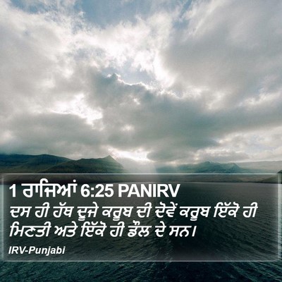 1 ਰਾਜਿਆਂ 6:25 PANIRV Bible Verse Image