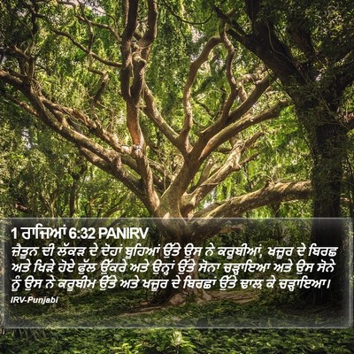 1 ਰਾਜਿਆਂ 6:32 PANIRV Bible Verse Image