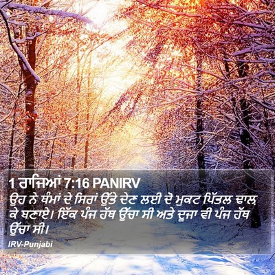 1 ਰਾਜਿਆਂ 7:16 PANIRV Bible Verse Image