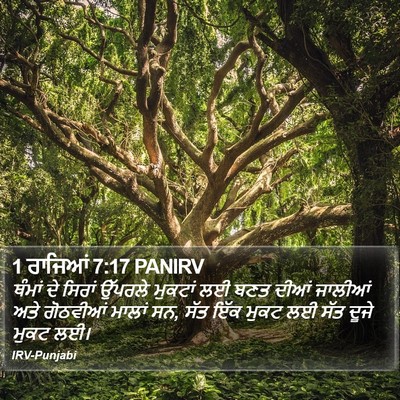 1 ਰਾਜਿਆਂ 7:17 PANIRV Bible Verse Image