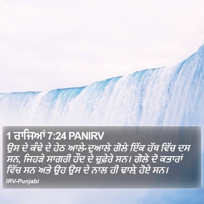 1 ਰਾਜਿਆਂ 7:24 PANIRV Bible Verse Image