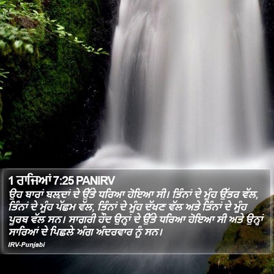1 ਰਾਜਿਆਂ 7:25 PANIRV Bible Verse Image