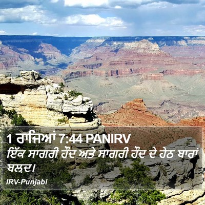 1 ਰਾਜਿਆਂ 7:44 PANIRV Bible Verse Image