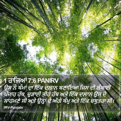 1 ਰਾਜਿਆਂ 7:6 PANIRV Bible Verse Image