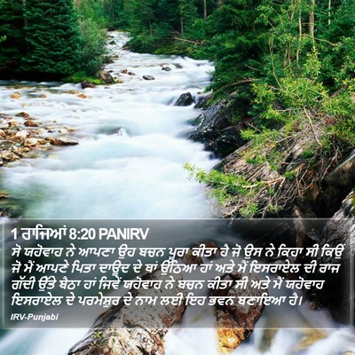1 ਰਾਜਿਆਂ 8:20 PANIRV Bible Verse Image