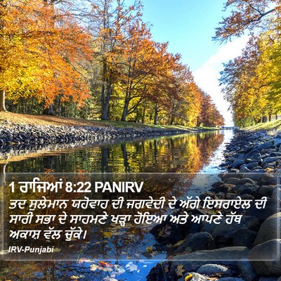 1 ਰਾਜਿਆਂ 8:22 PANIRV Bible Verse Image