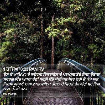 1 ਰਾਜਿਆਂ 8:23 PANIRV Bible Verse Image