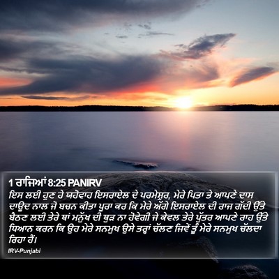 1 ਰਾਜਿਆਂ 8:25 PANIRV Bible Verse Image