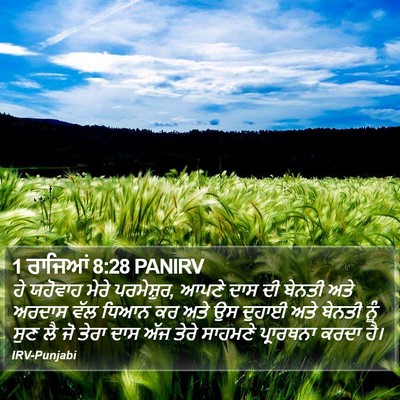 1 ਰਾਜਿਆਂ 8:28 PANIRV Bible Verse Image