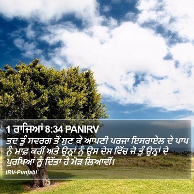 1 ਰਾਜਿਆਂ 8:34 PANIRV Bible Verse Image