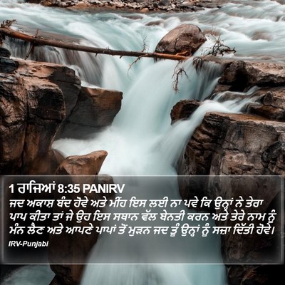 1 ਰਾਜਿਆਂ 8:35 PANIRV Bible Verse Image