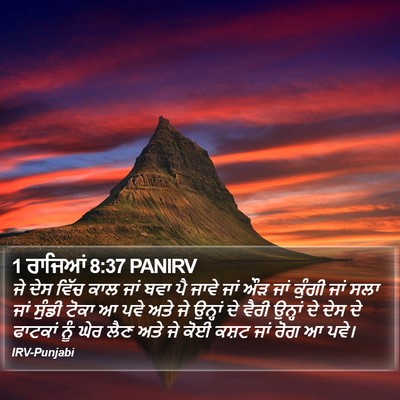 1 ਰਾਜਿਆਂ 8:37 PANIRV Bible Verse Image