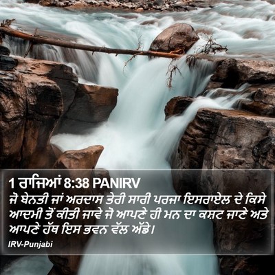 1 ਰਾਜਿਆਂ 8:38 PANIRV Bible Verse Image