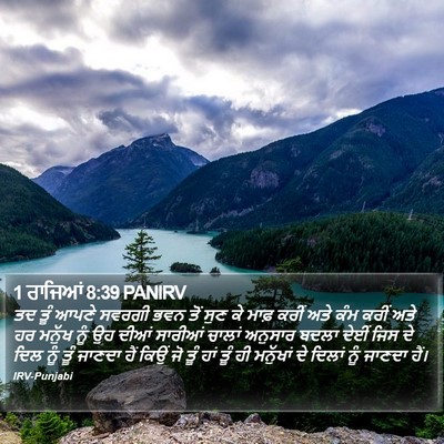 1 ਰਾਜਿਆਂ 8:39 PANIRV Bible Verse Image