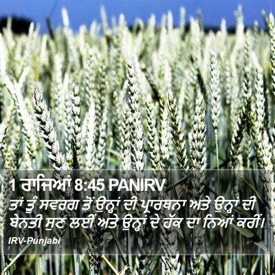 1 ਰਾਜਿਆਂ 8:45 PANIRV Bible Verse Image