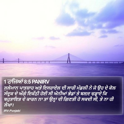 1 ਰਾਜਿਆਂ 8:5 PANIRV Bible Verse Image