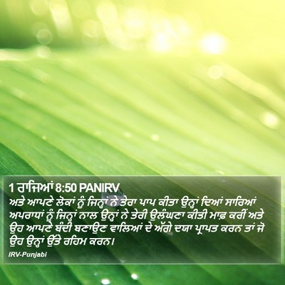1 ਰਾਜਿਆਂ 8:50 PANIRV Bible Verse Image