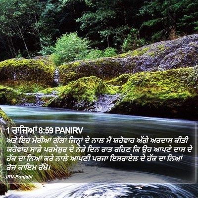 1 ਰਾਜਿਆਂ 8:59 PANIRV Bible Verse Image