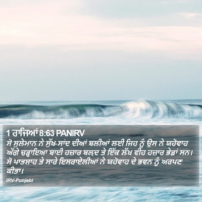1 ਰਾਜਿਆਂ 8:63 PANIRV Bible Verse Image