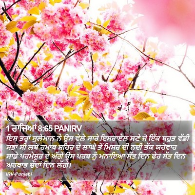 1 ਰਾਜਿਆਂ 8:65 PANIRV Bible Verse Image