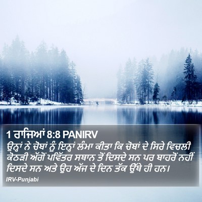 1 ਰਾਜਿਆਂ 8:8 PANIRV Bible Verse Image