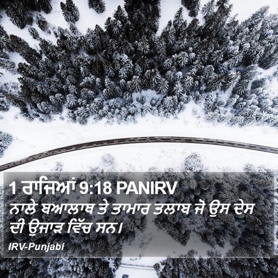 1 ਰਾਜਿਆਂ 9:18 PANIRV Bible Verse Image