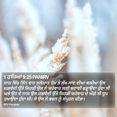 1 ਰਾਜਿਆਂ 9:25 PANIRV Bible Verse Image