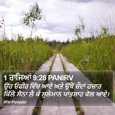 1 ਰਾਜਿਆਂ 9:28 PANIRV Bible Verse Image
