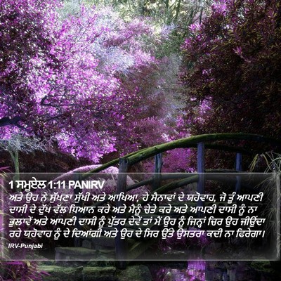 1 ਸਮੂਏਲ 1:11 PANIRV Bible Verse Image