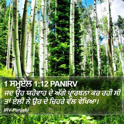 1 ਸਮੂਏਲ 1:12 PANIRV Bible Verse Image