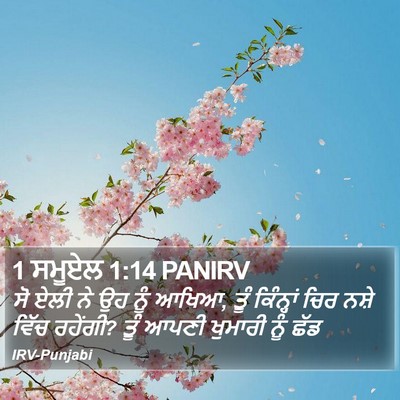 1 ਸਮੂਏਲ 1:14 PANIRV Bible Verse Image