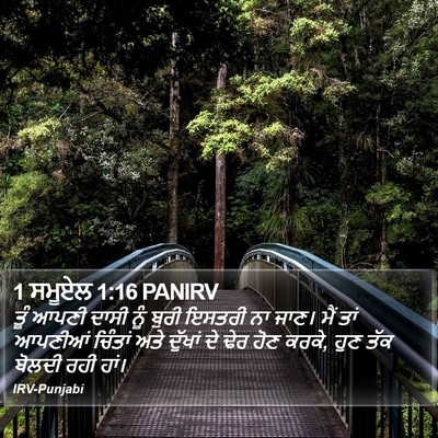 1 ਸਮੂਏਲ 1:16 PANIRV Bible Verse Image