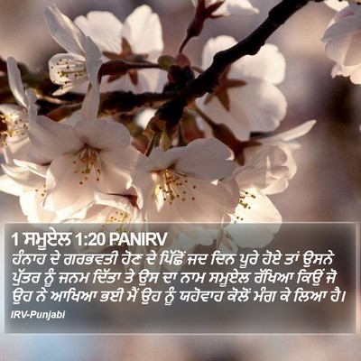 1 ਸਮੂਏਲ 1:20 PANIRV Bible Verse Image