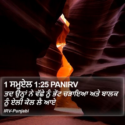 1 ਸਮੂਏਲ 1:25 PANIRV Bible Verse Image