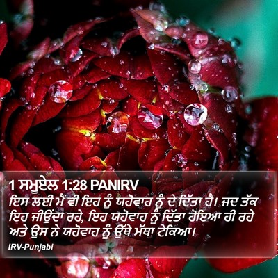 1 ਸਮੂਏਲ 1:28 PANIRV Bible Verse Image