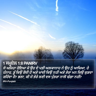 1 ਸਮੂਏਲ 1:8 PANIRV Bible Verse Image