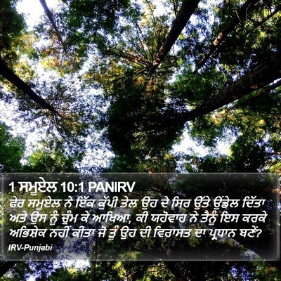 1 ਸਮੂਏਲ 10:1 PANIRV Bible Verse Image