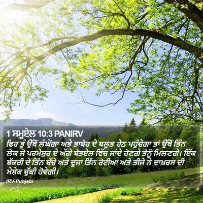 1 ਸਮੂਏਲ 10:3 PANIRV Bible Verse Image