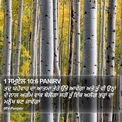 1 ਸਮੂਏਲ 10:6 PANIRV Bible Verse Image