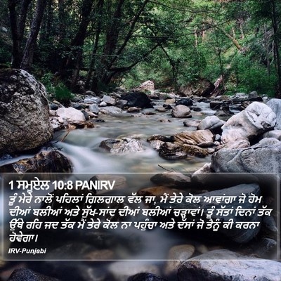 1 ਸਮੂਏਲ 10:8 PANIRV Bible Verse Image