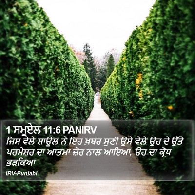 1 ਸਮੂਏਲ 11:6 PANIRV Bible Verse Image