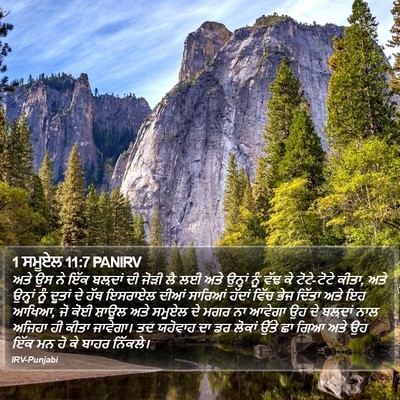 1 ਸਮੂਏਲ 11:7 PANIRV Bible Verse Image