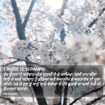 1 ਸਮੂਏਲ 12:10 PANIRV Bible Verse Image